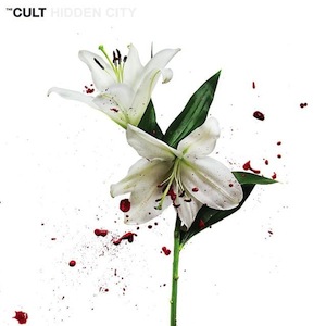 The-Cult-Hidden-City