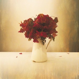 tlatw-cover-digitalwebres